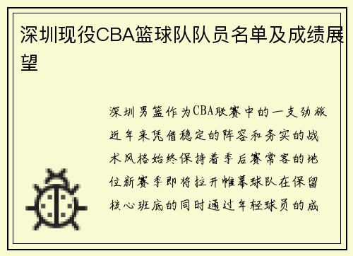 深圳现役CBA篮球队队员名单及成绩展望